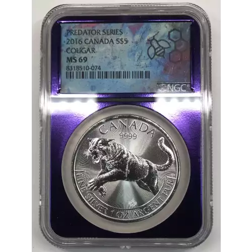 1 oz Silver (2)