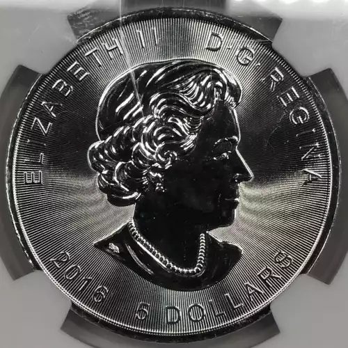 1 oz Silver