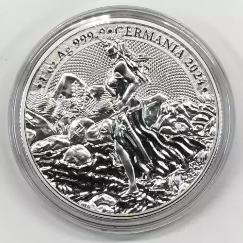 1 oz Silver (COIN)