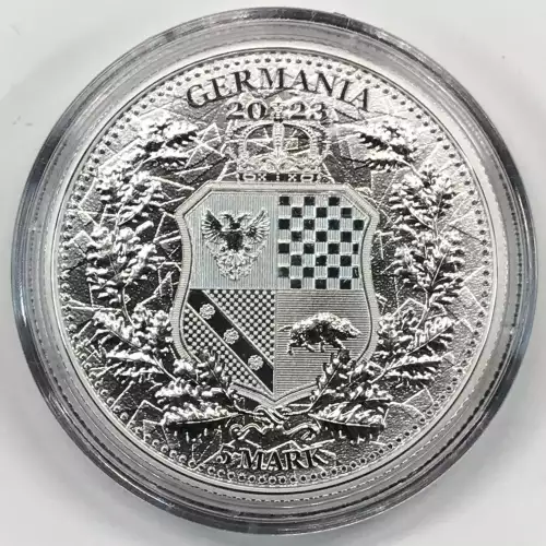 1 oz Silver (COIN)