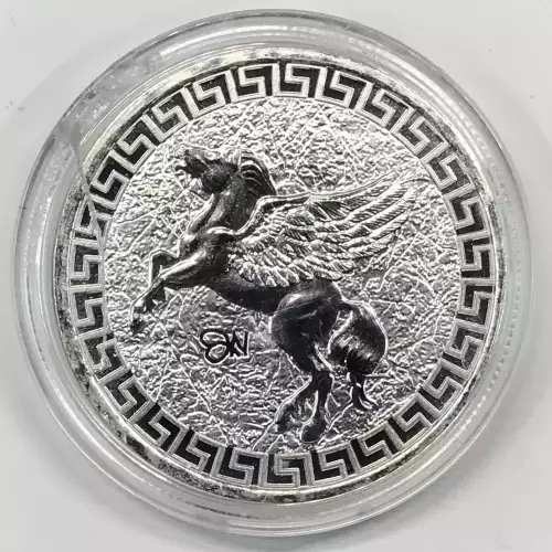 1 oz Silver (COIN) (2)