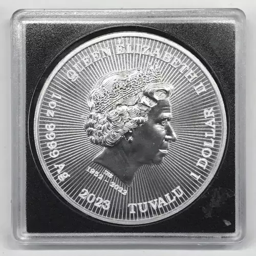 1 oz Silver (COIN)