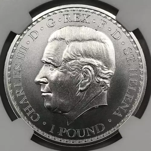 1 oz Silver (COIN) (2)