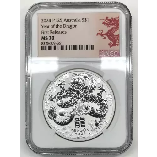 1 oz Silver (COIN)