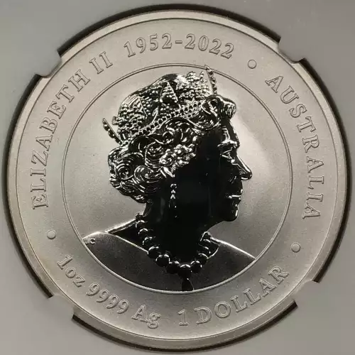 1 oz Silver (COIN)