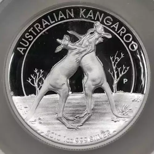 1 oz Silver (COIN) (2)