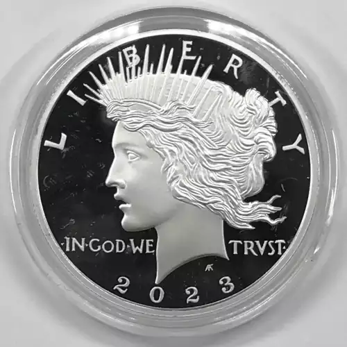 1 oz Silver (COIN)