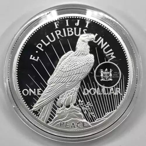 1 oz Silver (COIN)