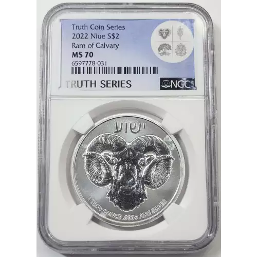 1 oz Silver (COIN)