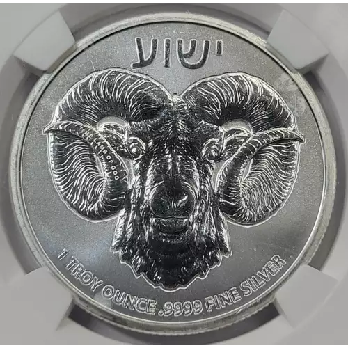 1 oz Silver (COIN) (2)