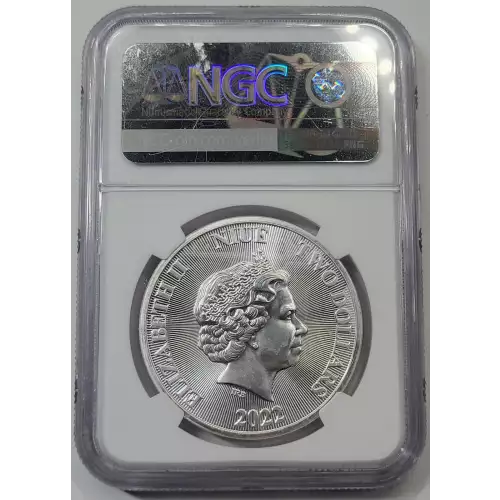 1 oz Silver (COIN) (3)