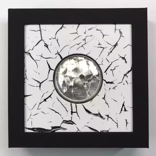 1 oz Silver (COIN)