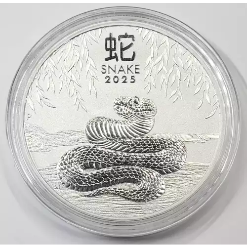 1 oz Silver (COIN)