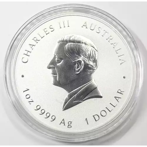 1 oz Silver (COIN) (2)