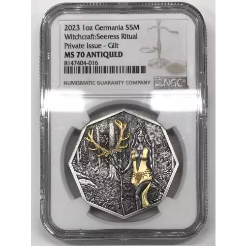 1 oz Silver (COIN)
