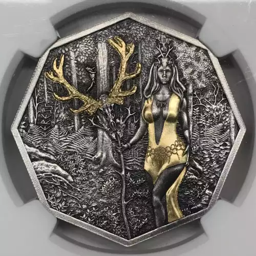 1 oz Silver (COIN) (2)
