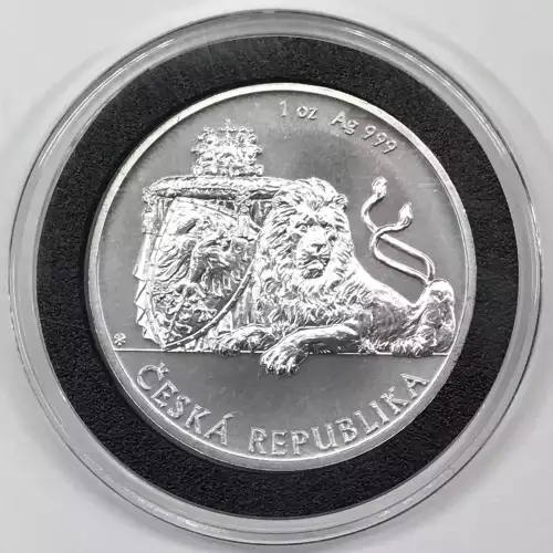 1 oz Silver (COIN)