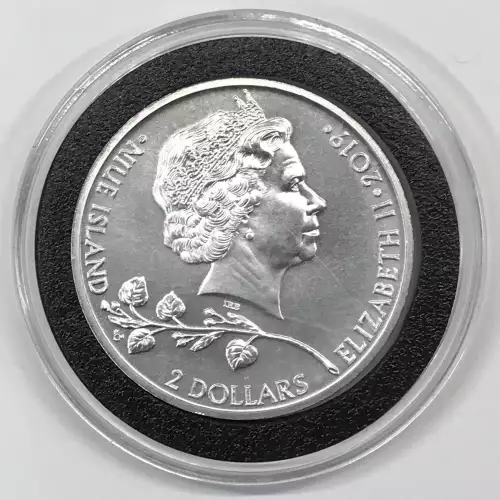 1 oz Silver (COIN) (2)