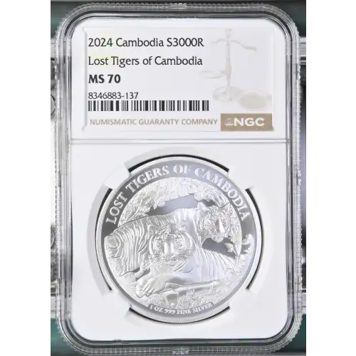 1 oz Silver (COIN) (2)