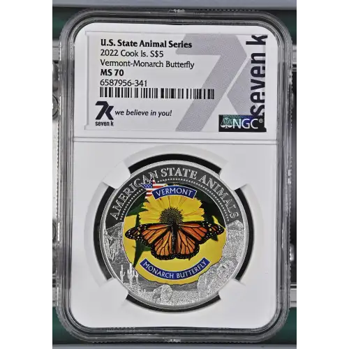 1 oz Silver (COIN) (2)