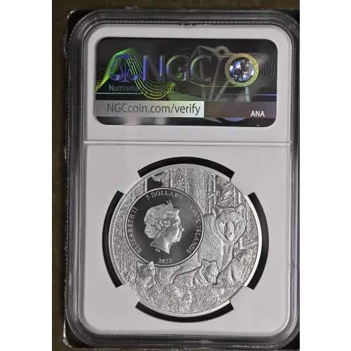 1 oz Silver (COIN) (3)