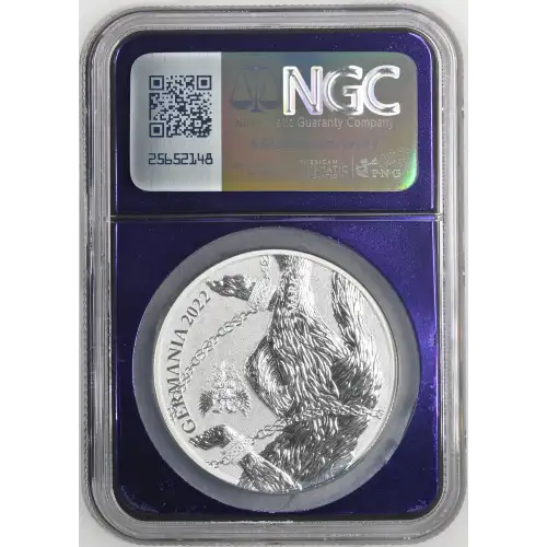 1 oz Silver (COIN) (3)