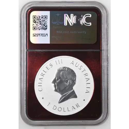 1 oz Silver (COIN) (3)