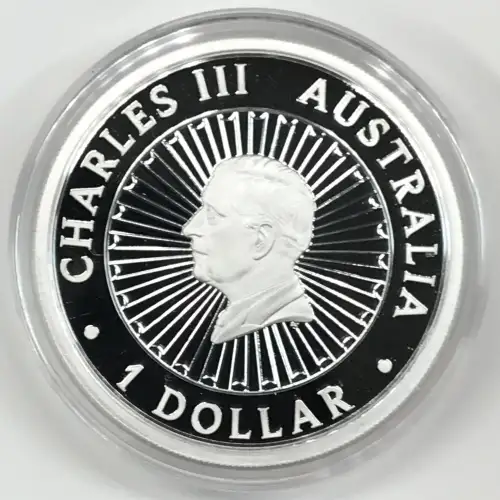 1 oz Silver (COIN) (3)