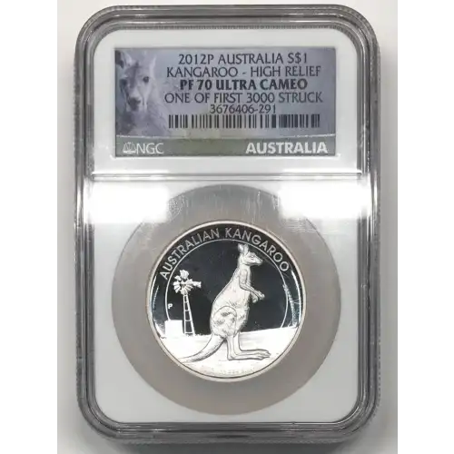 1 oz Silver (COIN)