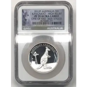 1 oz Silver (COIN)
