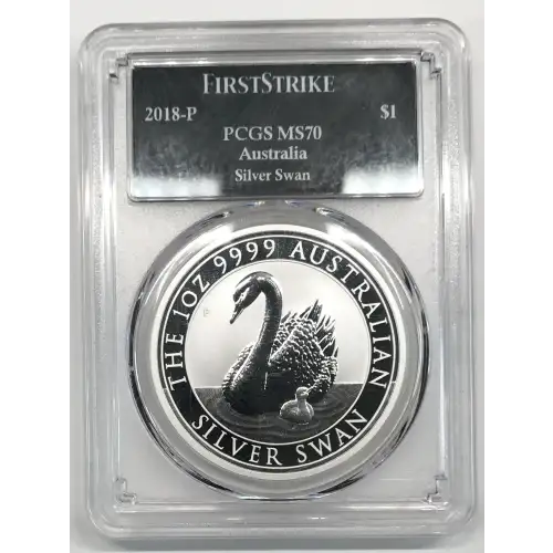 1 oz Silver (COIN)