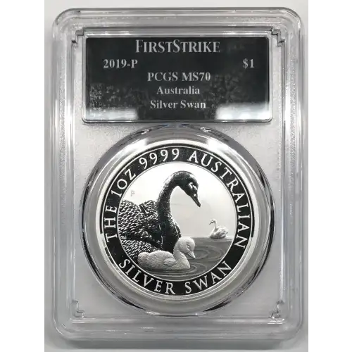 1 oz Silver (COIN)