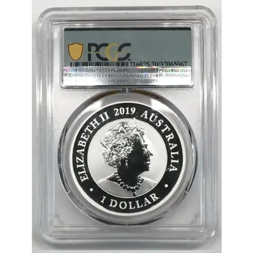 1 oz Silver (COIN) (2)