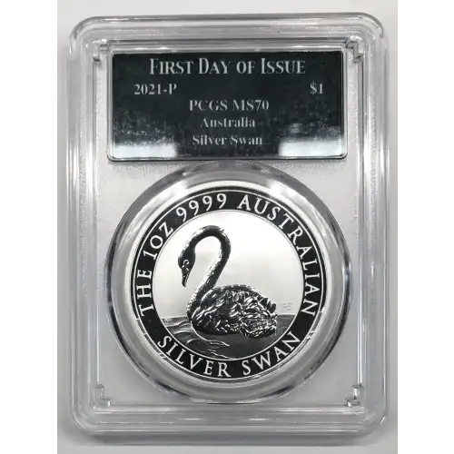1 oz Silver (COIN) (2)