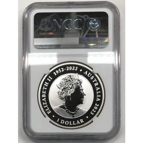 1 oz Silver (COIN) (2)