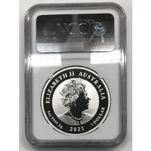 1 oz Silver (COIN) (2)