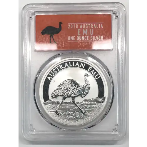 1 oz Silver (COIN) (2)