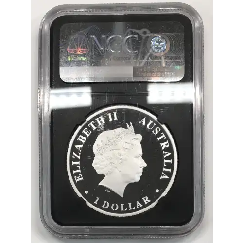 1 oz Silver (COIN)