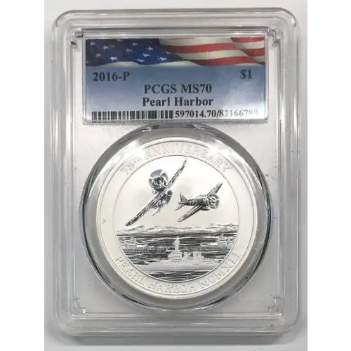 1 oz Silver (COIN) (2)