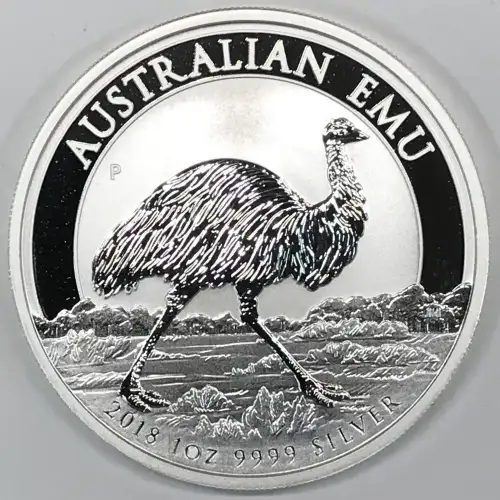 1 oz Silver (COIN) (2)