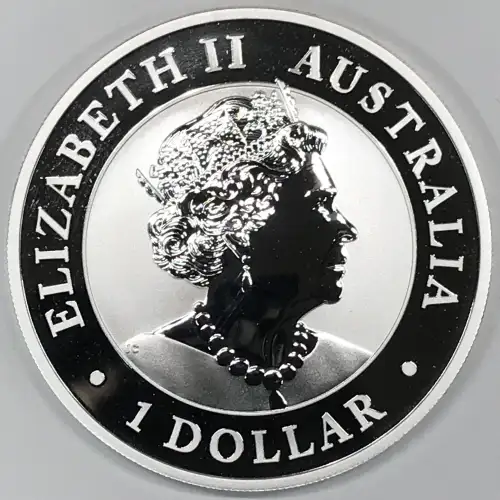 1 oz Silver (COIN)