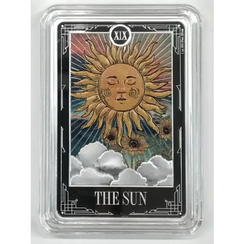 1 oz Silver (COIN) (2)