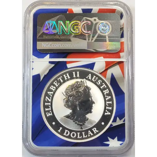 1 oz Silver (COIN) (2)