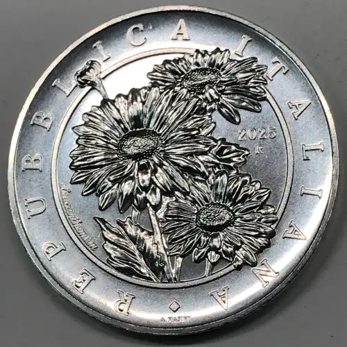 1 oz Silver (COIN)