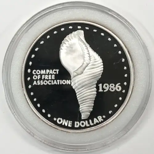 1 oz Silver (COIN)