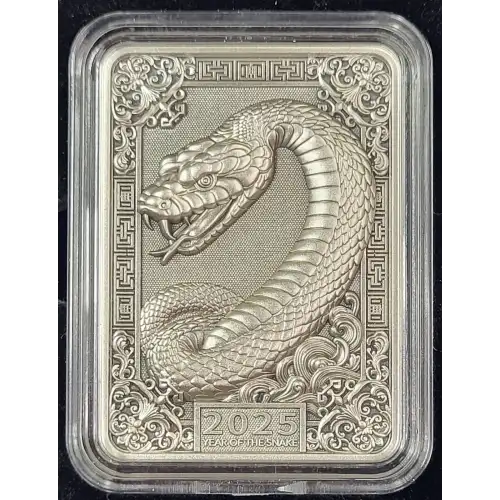 1 oz Silver (COIN) (2)