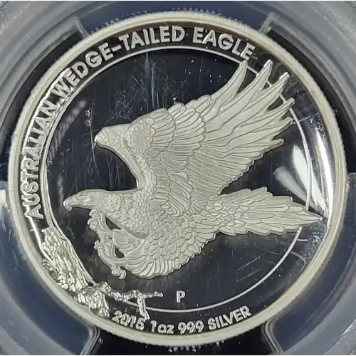 1 oz Silver (COIN)