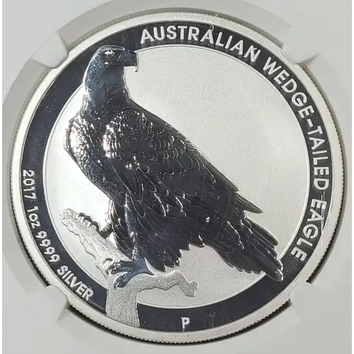 1 oz Silver (COIN) (2)