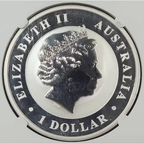 1 oz Silver (COIN) (3)