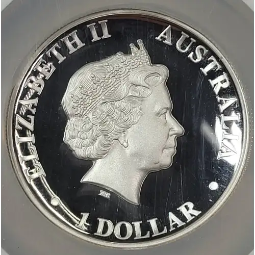1 oz Silver (COIN) (2)